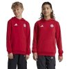 Bluza adidas FC Bayern HD Junior Jr IT4134 czerwony 140 cm